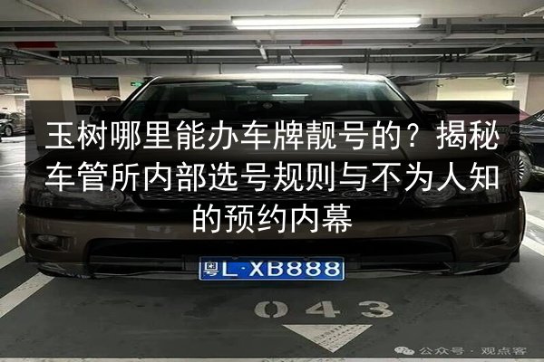 玉树哪里能办车牌靓号的？揭秘车管所内部选号规则与不为人知的预约内幕 第2张