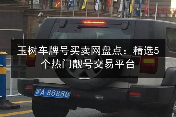 玉树车牌号买卖网盘点：精选5个热门靓号交易平台 第3张