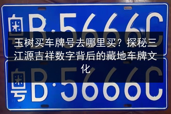 玉树买车牌号去哪里买？探秘三江源吉祥数字背后的藏地车牌文化 第3张