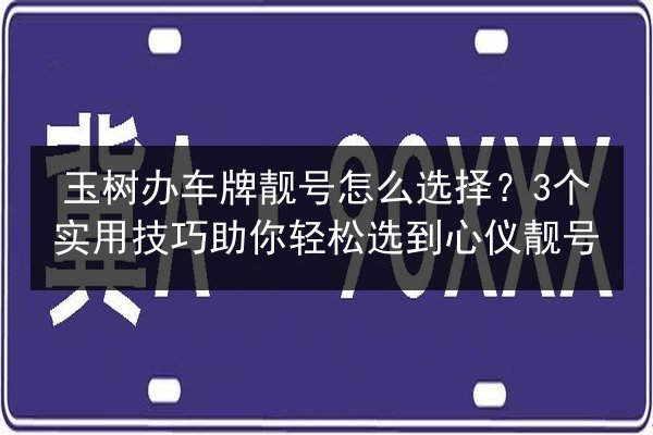 玉树办车牌靓号怎么选择?3个实用技巧助你轻松选到心仪靓号 第2张 玉树办车牌靓号怎么选择?3个实用技巧助你轻松选到心仪靓号 第2张