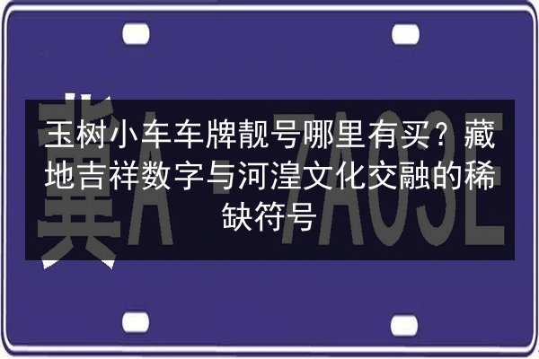 玉树小车车牌靓号哪里有买？藏地吉祥数字与河湟文化交融的稀缺符号 第2张