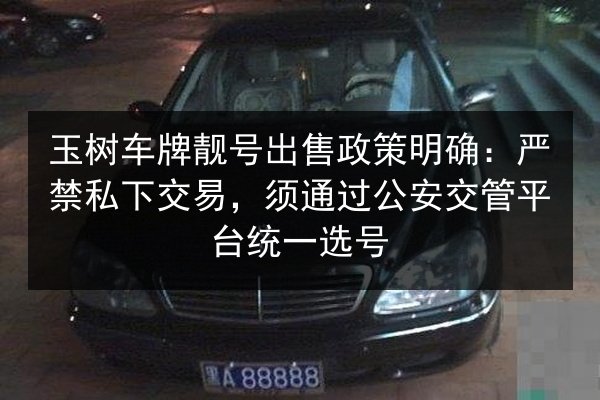 玉树车牌靓号出售政策明确：严禁私下交易，须通过公安交管平台统一选号 第2张