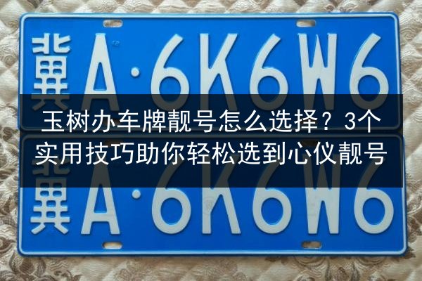 玉树办车牌靓号怎么选择?3个实用技巧助你轻松选到心仪靓号 第3张 玉树办车牌靓号怎么选择?3个实用技巧助你轻松选到心仪靓号 第3张