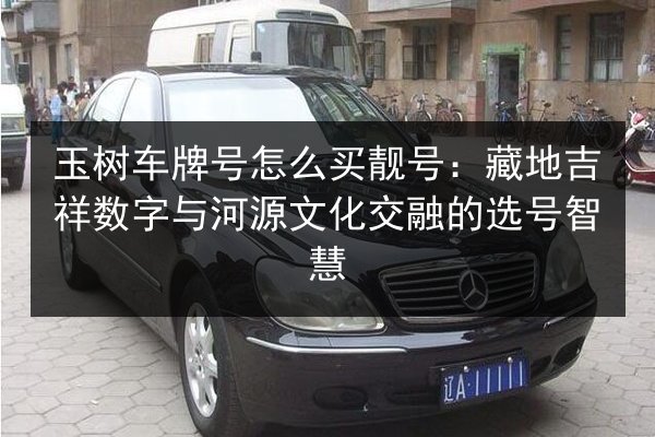 玉树车牌号怎么买靓号：藏地吉祥数字与河源文化交融的选号智慧 第2张