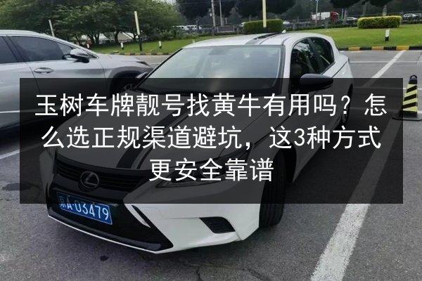 玉树车牌靓号找黄牛有用吗?怎么选正规渠道避坑,这3种方式更安全靠谱 第2张 玉树车牌靓号找黄牛有用吗?怎么选正规渠道避坑,这3种方式更安全靠谱 第2张