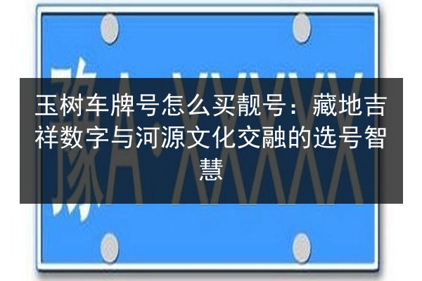 玉树车牌号怎么买靓号：藏地吉祥数字与河源文化交融的选号智慧 第3张