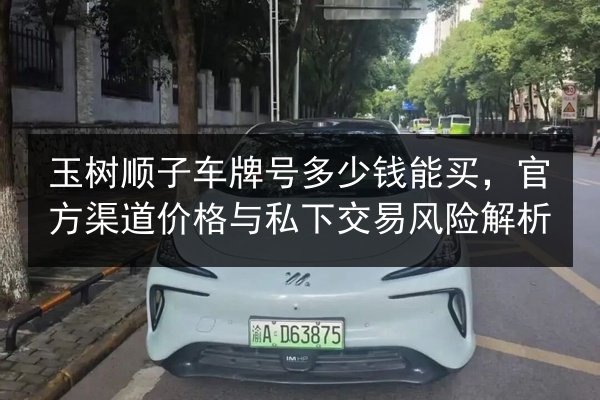 玉树顺子车牌号多少钱能买，官方渠道价格与私下交易风险解析 第2张