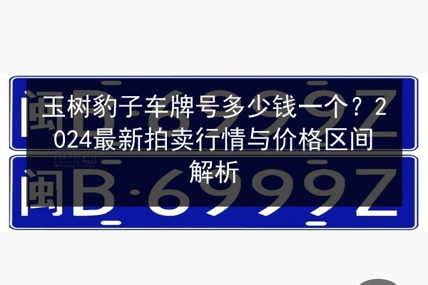 玉树豹子车牌号多少钱一个？2024最新拍卖行情与价格区间解析 第2张