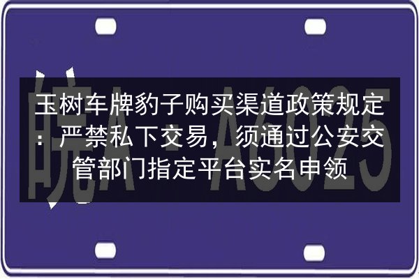 玉树车牌豹子购买渠道政策规定:严禁私下交易,须通过公安交管部门指定平台实名申领 第2张 玉树车牌豹子购买渠道政策规定:严禁私下交易,须通过公安交管部门指定平台实名申领 第2张