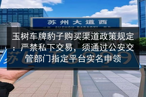 玉树车牌豹子购买渠道政策规定:严禁私下交易,须通过公安交管部门指定平台实名申领 第3张 玉树车牌豹子购买渠道政策规定:严禁私下交易,须通过公安交管部门指定平台实名申领 第3张