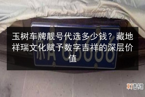 玉树车牌靓号代选多少钱?藏地祥瑞文化赋予数字吉祥的深层价值 第1张 玉树车牌靓号代选多少钱?藏地祥瑞文化赋予数字吉祥的深层价值 第1张