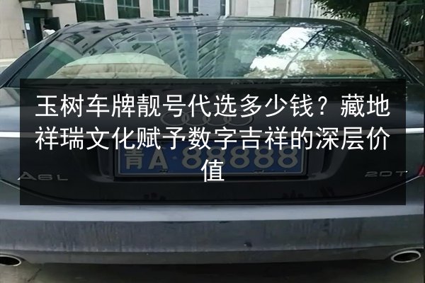玉树车牌靓号代选多少钱?藏地祥瑞文化赋予数字吉祥的深层价值 第2张 玉树车牌靓号代选多少钱?藏地祥瑞文化赋予数字吉祥的深层价值 第2张