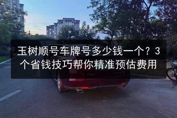 玉树顺号车牌号多少钱一个？3个省钱技巧帮你精准预估费用 第3张