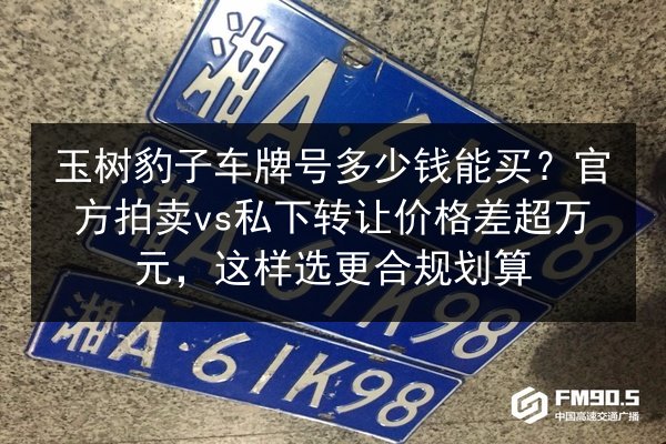 玉树豹子车牌号多少钱能买？官方拍卖vs私下转让价格差超万元，这样选更合规划算 第2张