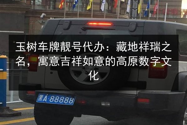 玉树车牌靓号代办：藏地祥瑞之名，寓意吉祥如意的高原数字文化 第3张