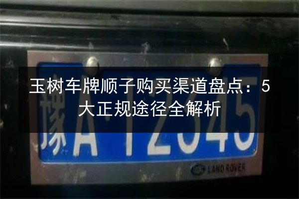 玉树车牌顺子购买渠道盘点：5大正规途径全解析 第2张