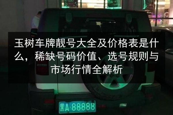 玉树车牌靓号大全及价格表是什么，稀缺号码价值、选号规则与市场行情全解析 第2张