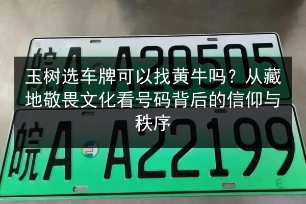 玉树选车牌可以找黄牛吗？从藏地敬畏文化看号码背后的信仰与秩序 第2张