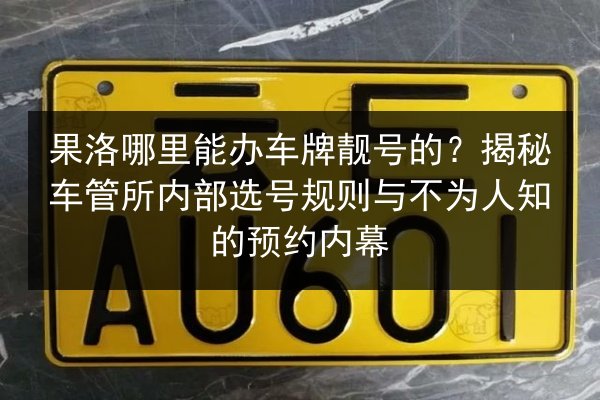果洛哪里能办车牌靓号的?揭秘车管所内部选号规则与不为人知的预约内幕 第3张 果洛哪里能办车牌靓号的?揭秘车管所内部选号规则与不为人知的预约内幕 第3张