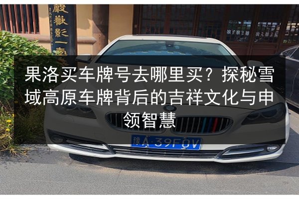 果洛买车牌号去哪里买?探秘雪域高原车牌背后的吉祥文化与申领智慧 第2张 果洛买车牌号去哪里买?探秘雪域高原车牌背后的吉祥文化与申领智慧 第2张