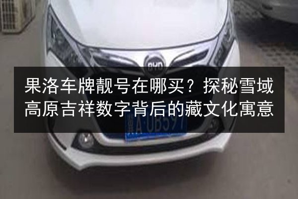 果洛车牌靓号在哪买?探秘雪域高原吉祥数字背后的藏文化寓意 第2张 果洛车牌靓号在哪买?探秘雪域高原吉祥数字背后的藏文化寓意 第2张