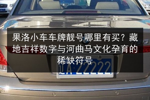 果洛小车车牌靓号哪里有买?藏地吉祥数字与河曲马文化孕育的稀缺符号 第2张 果洛小车车牌靓号哪里有买?藏地吉祥数字与河曲马文化孕育的稀缺符号 第2张