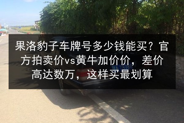 果洛豹子车牌号多少钱能买？官方拍卖价vs黄牛加价价，差价高达数万，这样买最划算 第2张