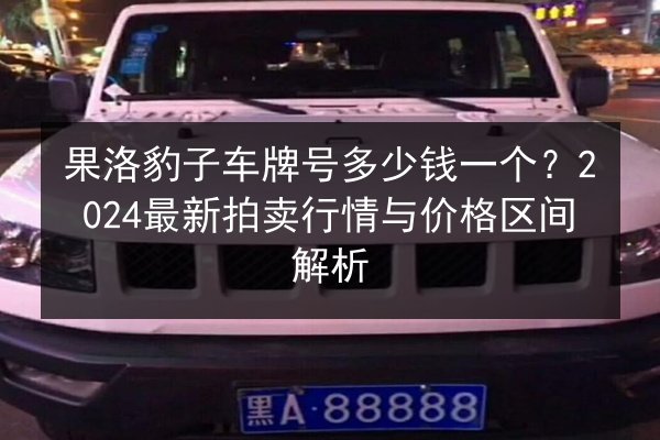 果洛豹子车牌号多少钱一个？2024最新拍卖行情与价格区间解析 第3张