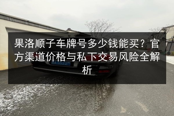 果洛顺子车牌号多少钱能买？官方渠道价格与私下交易风险全解析 第3张