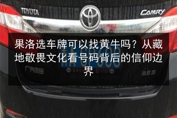果洛选车牌可以找黄牛吗？从藏地敬畏文化看号码背后的信仰边界 第3张