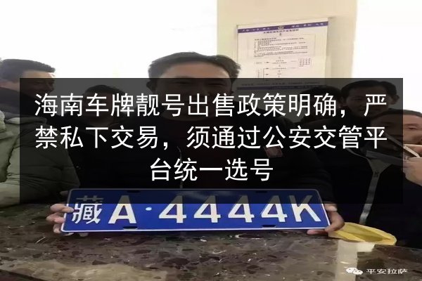 海南车牌靓号出售政策明确，严禁私下交易，须通过公安交管平台统一选号 第2张