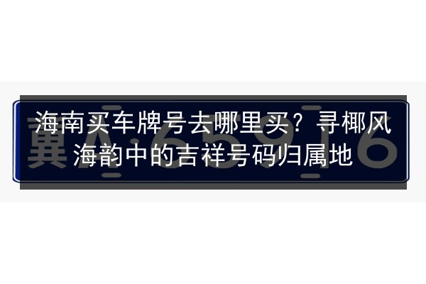 海南买车牌号去哪里买?寻椰风海韵中的吉祥号码归属地 第1张 海南买车牌号去哪里买?寻椰风海韵中的吉祥号码归属地 第1张