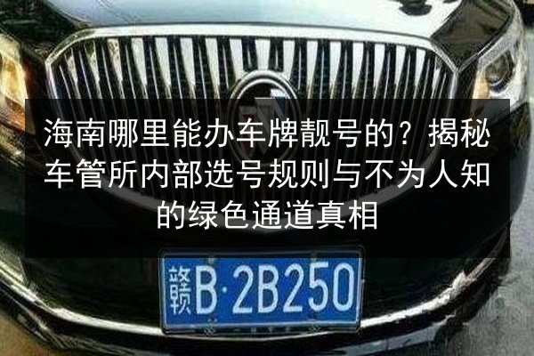 海南哪里能办车牌靓号的？揭秘车管所内部选号规则与不为人知的绿色通道真相 第2张