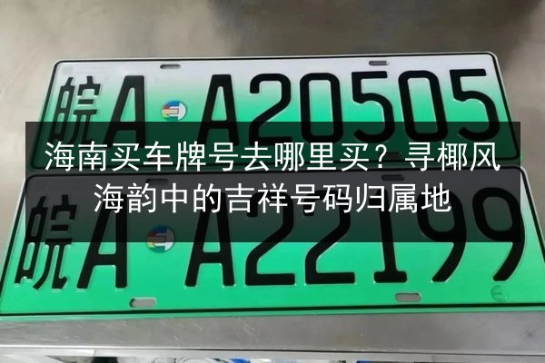 海南买车牌号去哪里买?寻椰风海韵中的吉祥号码归属地 第2张 海南买车牌号去哪里买?寻椰风海韵中的吉祥号码归属地 第2张