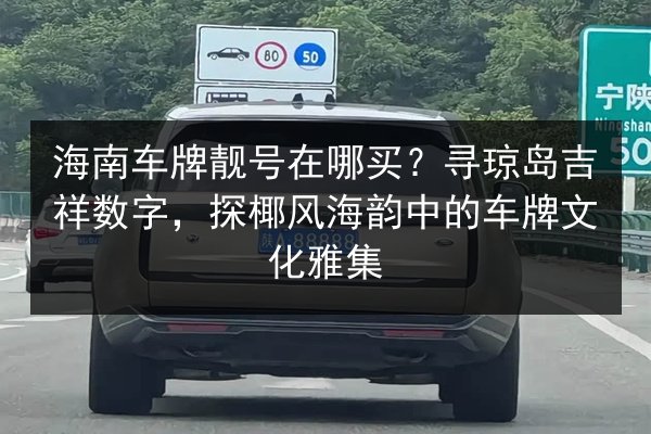 海南车牌靓号在哪买？寻琼岛吉祥数字，探椰风海韵中的车牌文化雅集 第2张