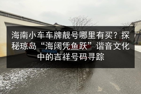 海南小车车牌靓号哪里有买?探秘琼岛“海阔凭鱼跃”谐音文化中的吉祥号码寻踪 第2张 海南小车车牌靓号哪里有买?探秘琼岛“海阔凭鱼跃”谐音文化中的吉祥号码寻踪 第2张