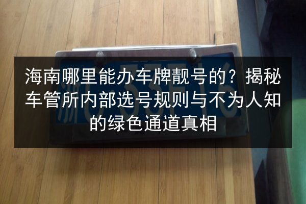 海南哪里能办车牌靓号的？揭秘车管所内部选号规则与不为人知的绿色通道真相 第3张