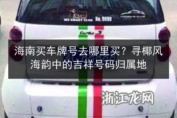 海南买车牌号去哪里买?寻椰风海韵中的吉祥号码归属地 第3张 海南买车牌号去哪里买?寻椰风海韵中的吉祥号码归属地 第3张
