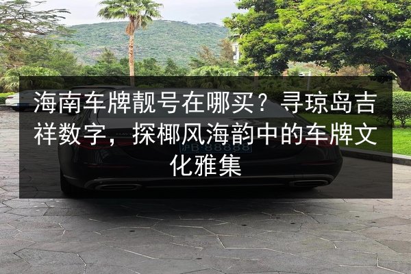 海南车牌靓号在哪买？寻琼岛吉祥数字，探椰风海韵中的车牌文化雅集 第3张