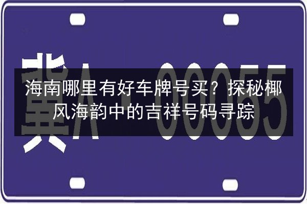 海南哪里有好车牌号买?探秘椰风海韵中的吉祥号码寻踪 第3张 海南哪里有好车牌号买?探秘椰风海韵中的吉祥号码寻踪 第3张