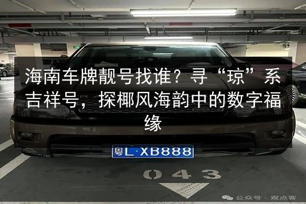 海南车牌靓号找谁？寻“琼”系吉祥号，探椰风海韵中的数字福缘 第2张
