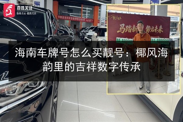 海南车牌号怎么买靓号:椰风海韵里的吉祥数字传承 第3张 海南车牌号怎么买靓号:椰风海韵里的吉祥数字传承 第3张