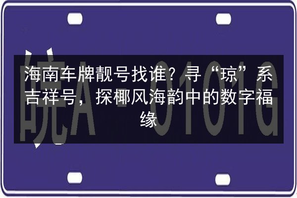 海南车牌靓号找谁？寻“琼”系吉祥号，探椰风海韵中的数字福缘 第3张
