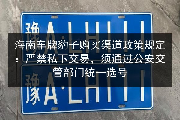 海南车牌豹子购买渠道政策规定:严禁私下交易,须通过公安交管部门统一选号 第1张 海南车牌豹子购买渠道政策规定:严禁私下交易,须通过公安交管部门统一选号 第1张