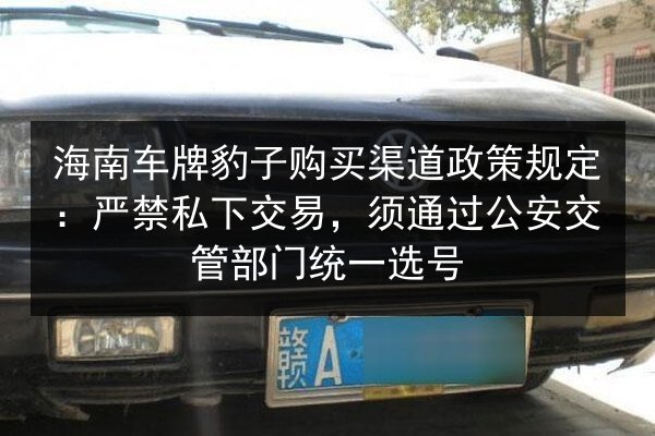 海南车牌豹子购买渠道政策规定:严禁私下交易,须通过公安交管部门统一选号 第2张 海南车牌豹子购买渠道政策规定:严禁私下交易,须通过公安交管部门统一选号 第2张