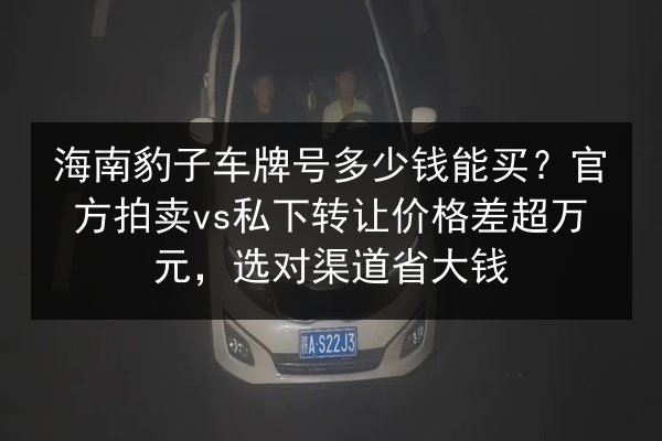 海南豹子车牌号多少钱能买？官方拍卖vs私下转让价格差超万元，选对渠道省大钱 第2张