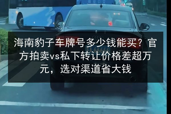 海南豹子车牌号多少钱能买？官方拍卖vs私下转让价格差超万元，选对渠道省大钱 第3张