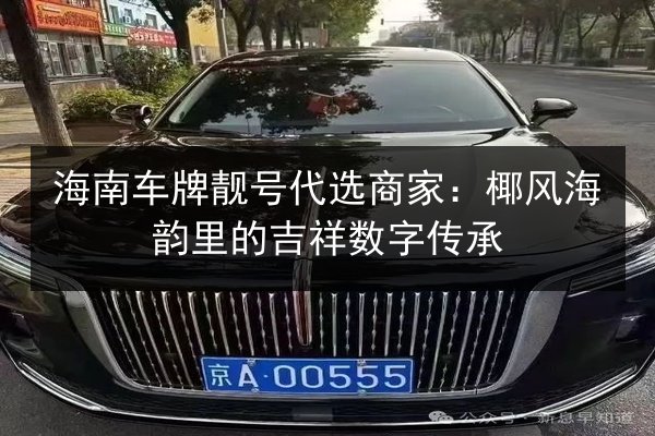 海南车牌靓号代选商家：椰风海韵里的吉祥数字传承