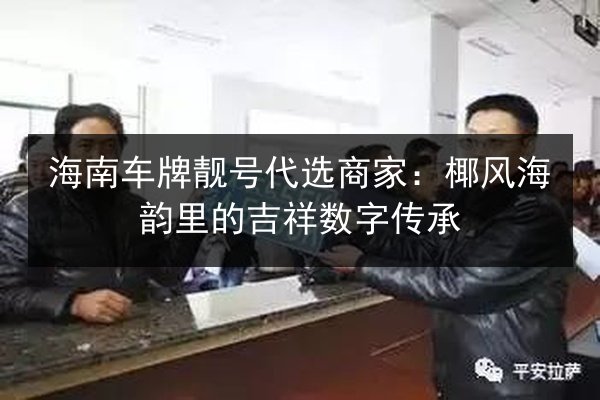 海南车牌靓号代选商家：椰风海韵里的吉祥数字传承 第2张