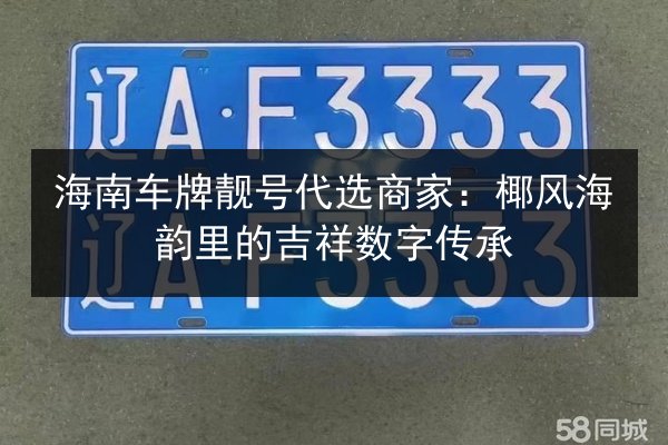 海南车牌靓号代选商家：椰风海韵里的吉祥数字传承 第3张